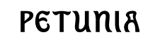 Petunia - Ibiza